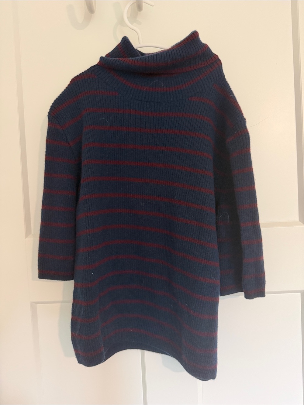Madewell Navy and Burgundy Striped Turtleneck Sweater